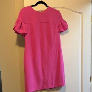 Pink Ruffle Sleeve Dress